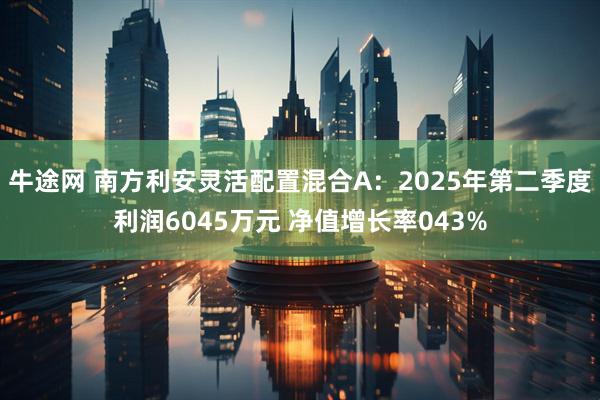 牛途网 南方利安灵活配置混合A：2025年第二季度利润6045万元 净值增长率043%
