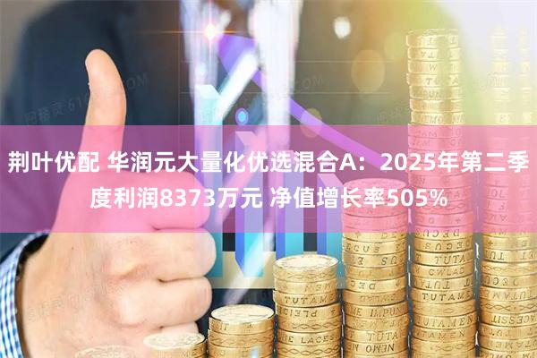 荆叶优配 华润元大量化优选混合A：2025年第二季度利润8373万元 净值增长率505%