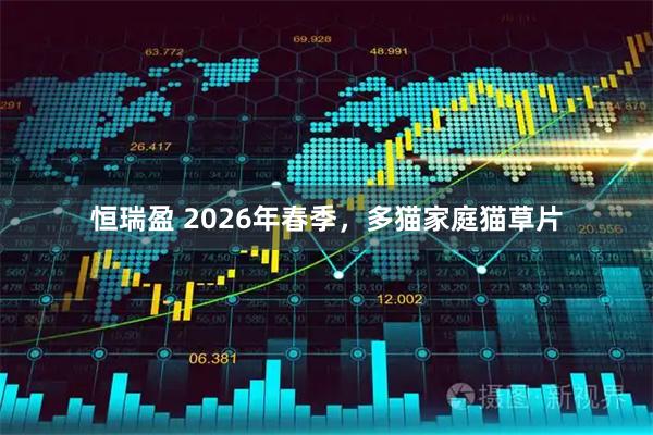恒瑞盈 2026年春季，多猫家庭猫草片