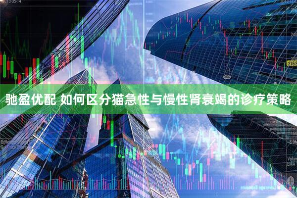 驰盈优配 如何区分猫急性与慢性肾衰竭的诊疗策略
