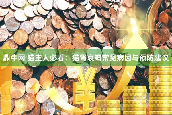 鼎牛网 猫主人必看：猫肾衰竭常见病因与预防建议
