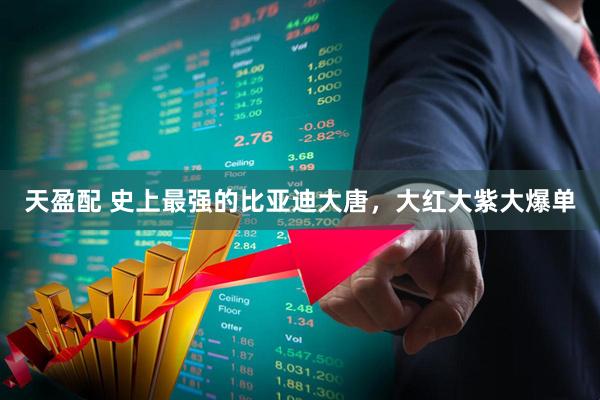 天盈配 史上最强的比亚迪大唐，大红大紫大爆单