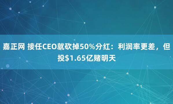 嘉正网 接任CEO就砍掉50%分红：利润率更差，但投$1.65亿赌明天
